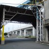 撃退ドットマン　飼料倉庫　ウィルス　健康被害　熊本県熊本市　平成２７年９月