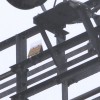 撃退ドットマン　カラスの巣の被害　配電用鉄塔　熊本県　２０１５年４月