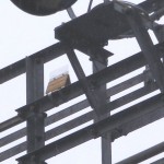 撃退ドットマン　カラスの巣の被害　配電用鉄塔　熊本県　２０１５年４月